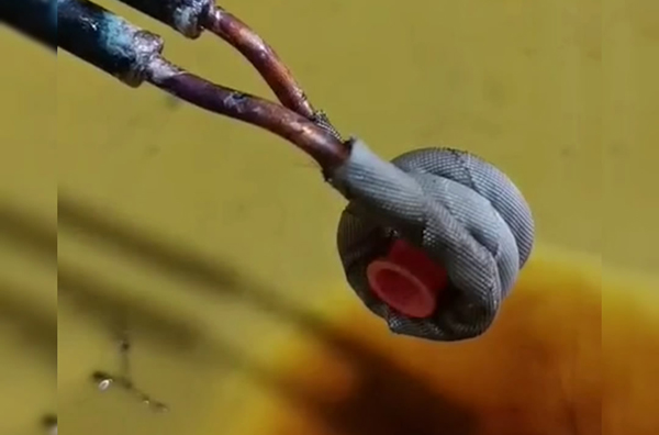 ��Ƶ���Ȳ�С�ı��ŵ���