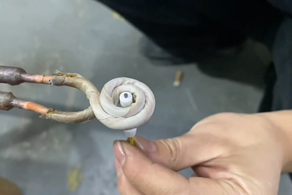 ����Ƶ�����豸���ֳ�ʽ����Ƶ������ͨ���ߺ��Ӵ���