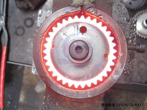 ��Ƶ����